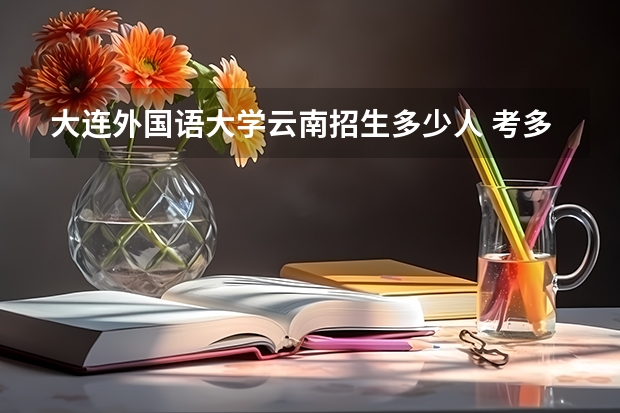 大连外国语大学云南招生多少人 考多少分可以上