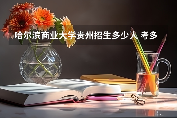 哈尔滨商业大学贵州招生多少人 考多少分可以上