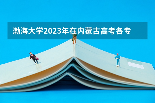 渤海大学2023年在内蒙古高考各专业的招生人数是多少
