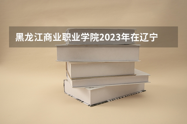 黑龙江商业职业学院2023年在辽宁高考各专业的招生人数是多少