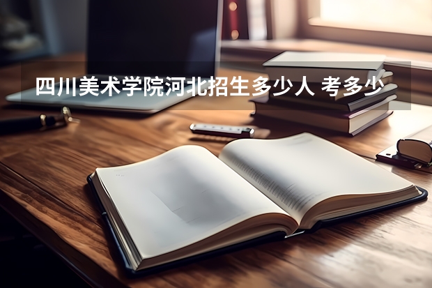 四川美术学院河北招生多少人 考多少分可以上