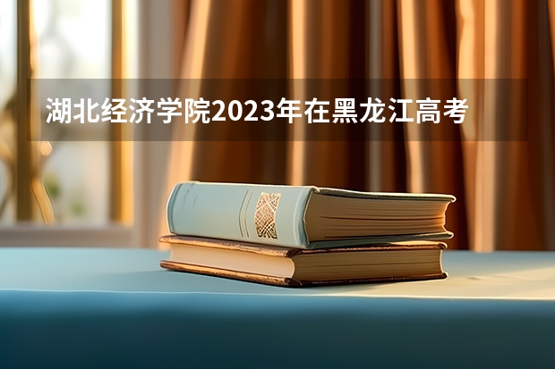 湖北经济学院2023年在黑龙江高考各专业的招生人数是多少