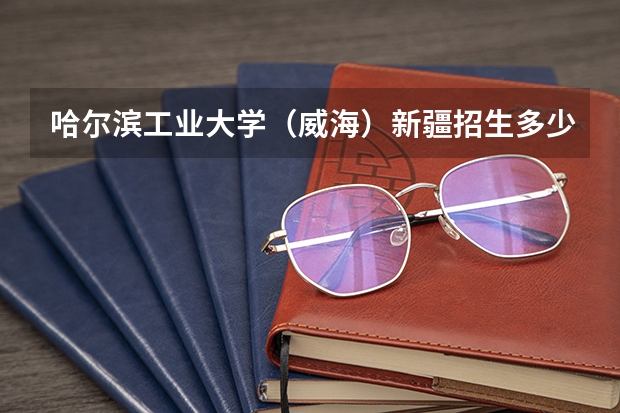 哈尔滨工业大学（威海）新疆招生多少人 考多少分可以上