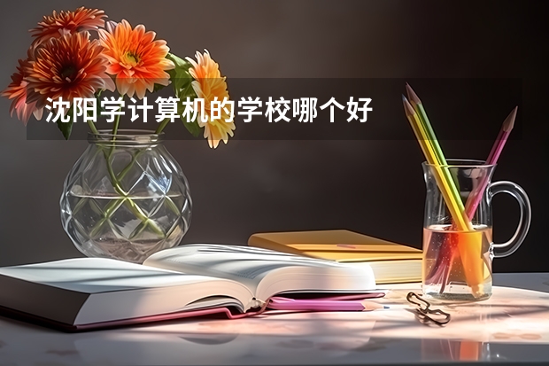 沈阳学计算机的学校哪个好