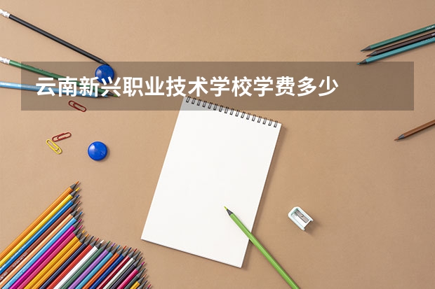 云南新兴职业技术学校学费多少