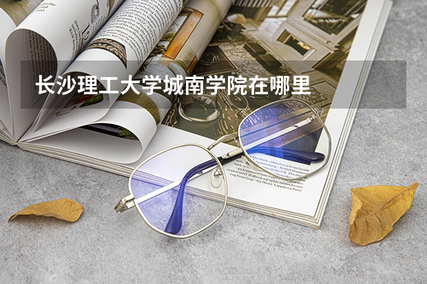 长沙理工大学城南学院在哪里