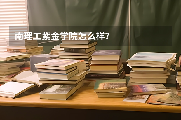南理工紫金学院怎么样？