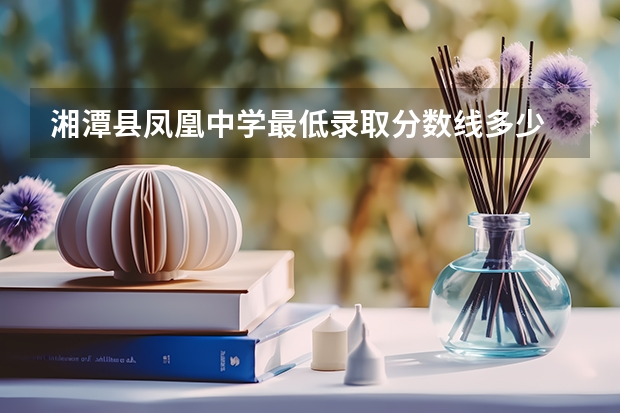湘潭县凤凰中学最低录取分数线多少