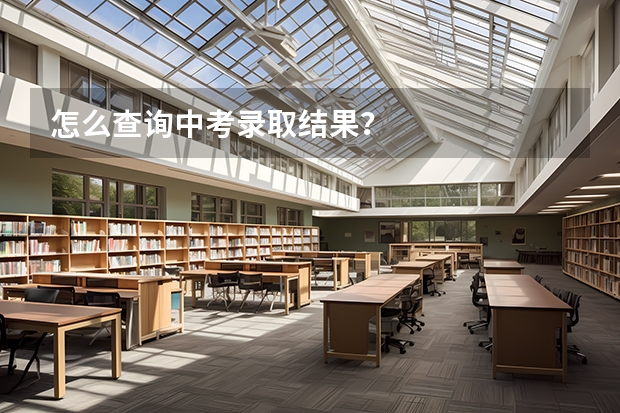 怎么查询中考录取结果?