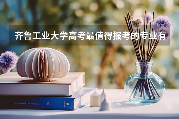 齐鲁工业大学高考最值得报考的专业有哪些?