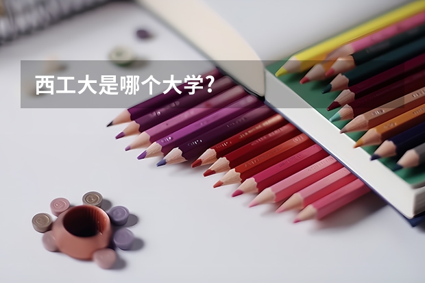 西工大是哪个大学?