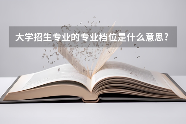 大学招生专业的专业档位是什么意思?有一档、2档,3档。