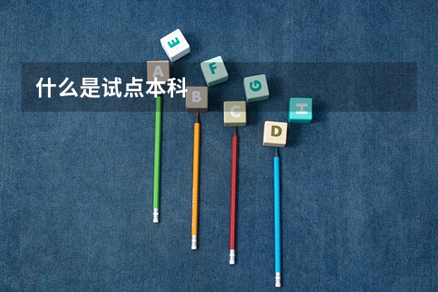 什么是试点本科