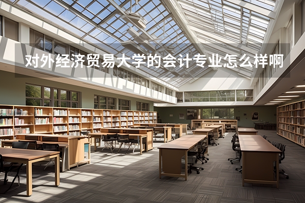 对外经济贸易大学的会计专业怎么样啊???
