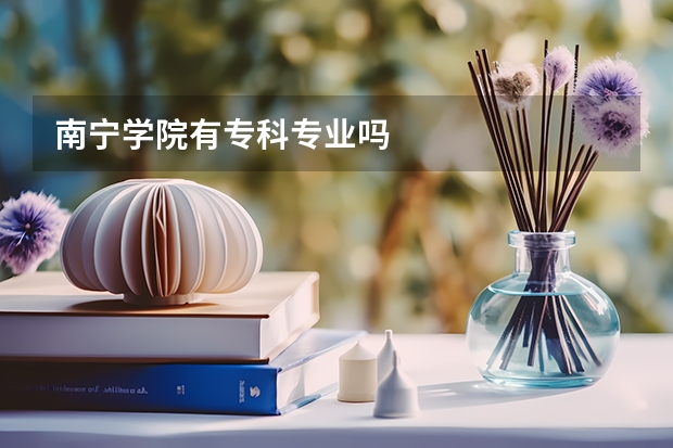 南宁学院有专科专业吗