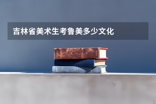 吉林省美术生考鲁美多少文化