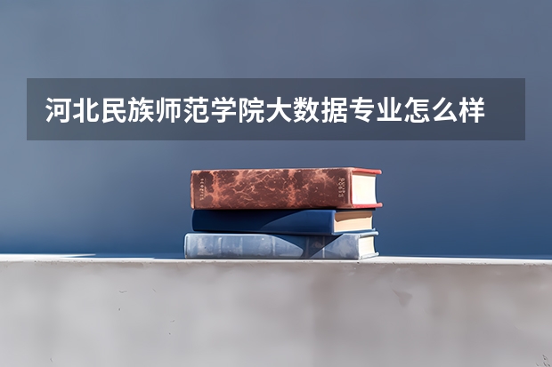 河北民族师范学院大数据专业怎么样