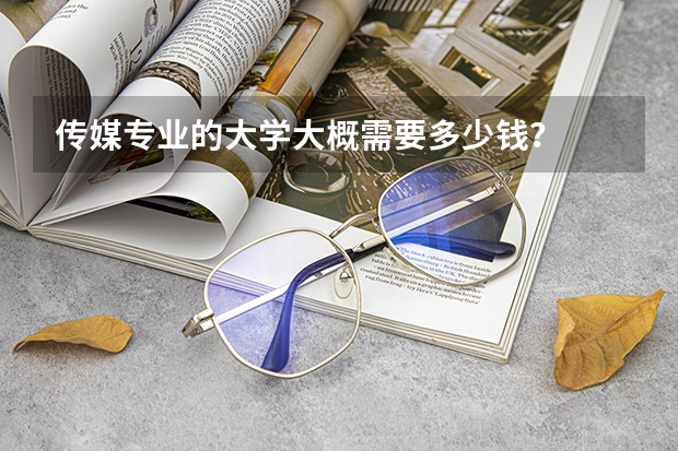传媒专业的大学大概需要多少钱?