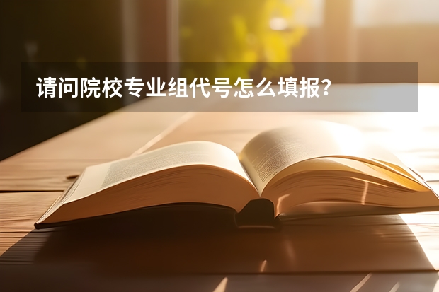 请问院校专业组代号怎么填报?