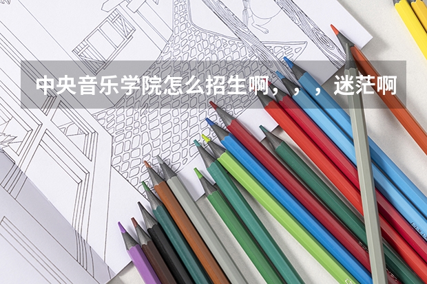 中央音乐学院怎么招生啊，，，迷茫啊