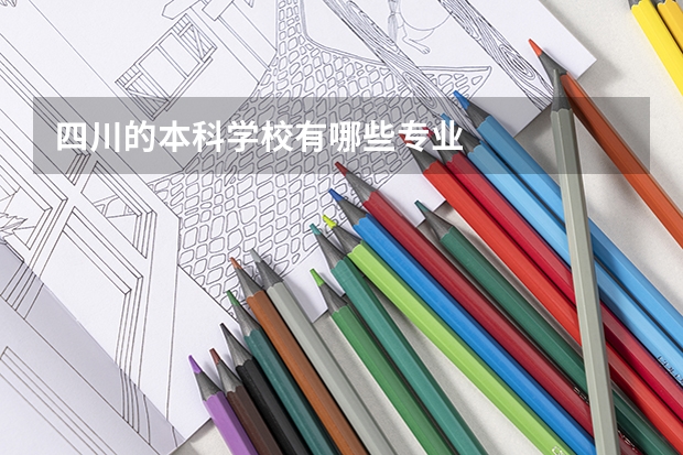 四川的本科学校有哪些专业