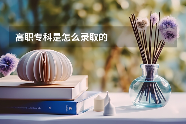 高职专科是怎么录取的