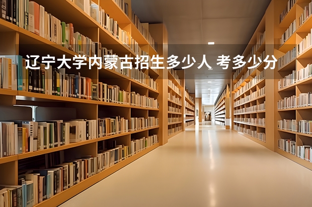 辽宁大学内蒙古招生多少人 考多少分可以上