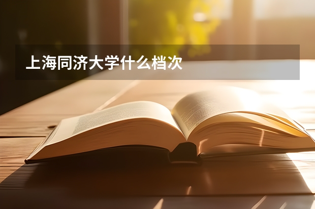 上海同济大学什么档次