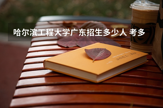 哈尔滨工程大学广东招生多少人 考多少分可以上