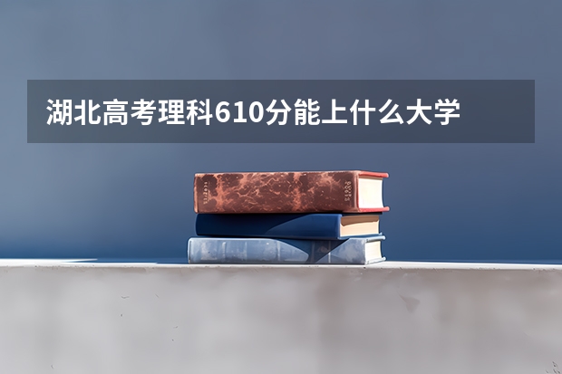 湖北高考理科610分能上什么大学