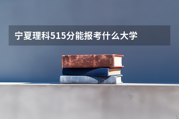 宁夏理科515分能报考什么大学