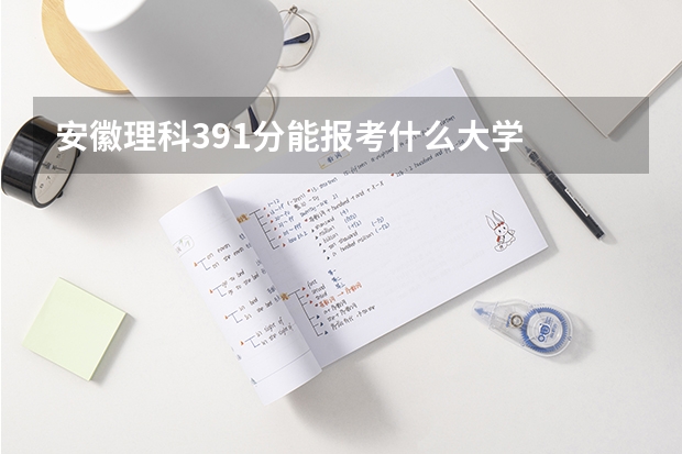 安徽理科391分能报考什么大学
