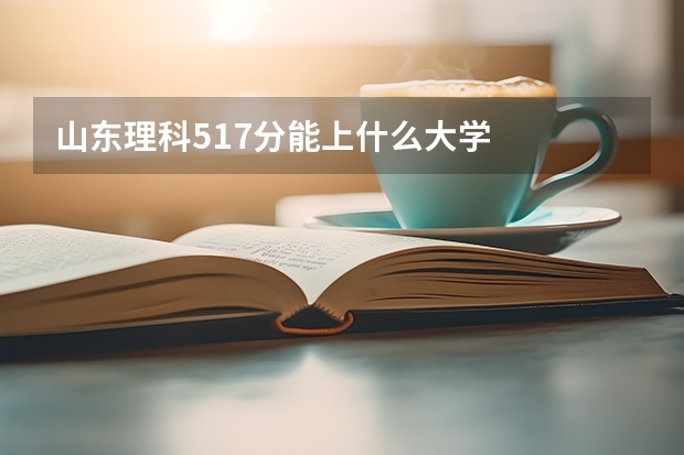 山东理科517分能上什么大学