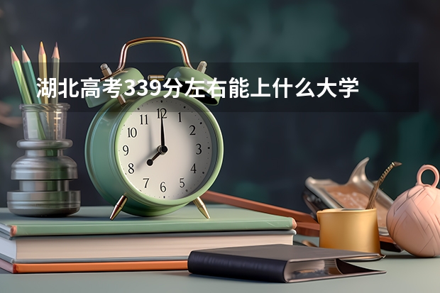 湖北高考339分左右能上什么大学