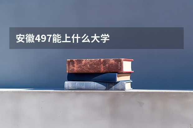 安徽497能上什么大学