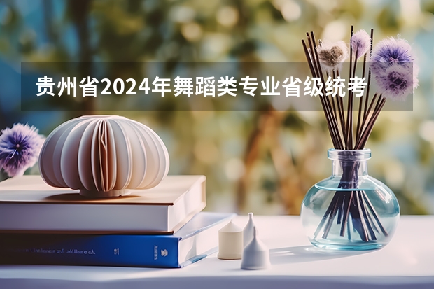 贵州省2024年舞蹈类专业省级统考温馨提示