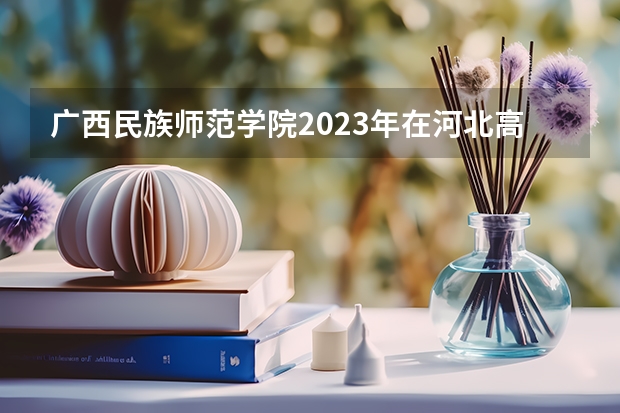 广西民族师范学院2023年在河北高考各专业的招生人数是多少