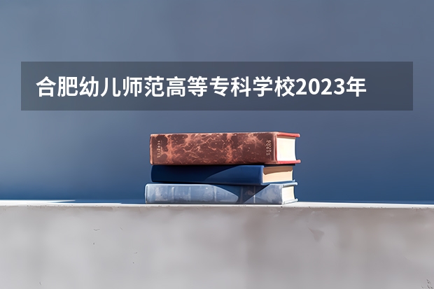 合肥幼儿师范高等专科学校2023年在河北高考各专业的招生人数是多少