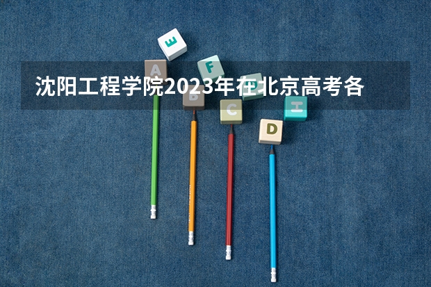 沈阳工程学院2023年在北京高考各专业的招生人数是多少
