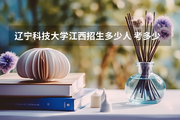 辽宁科技大学江西招生多少人 考多少分可以上