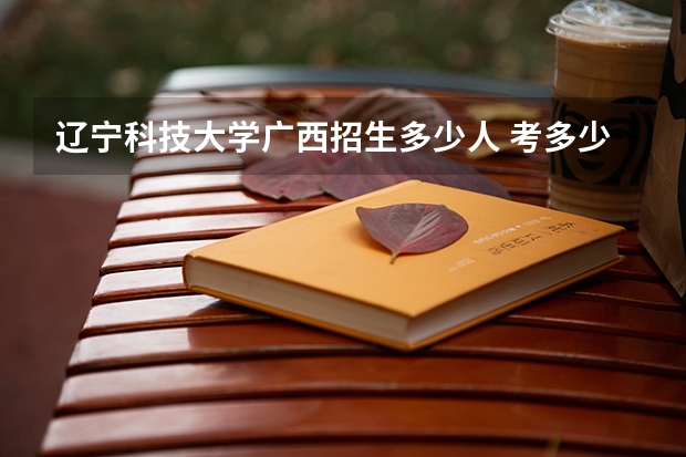 辽宁科技大学广西招生多少人 考多少分可以上